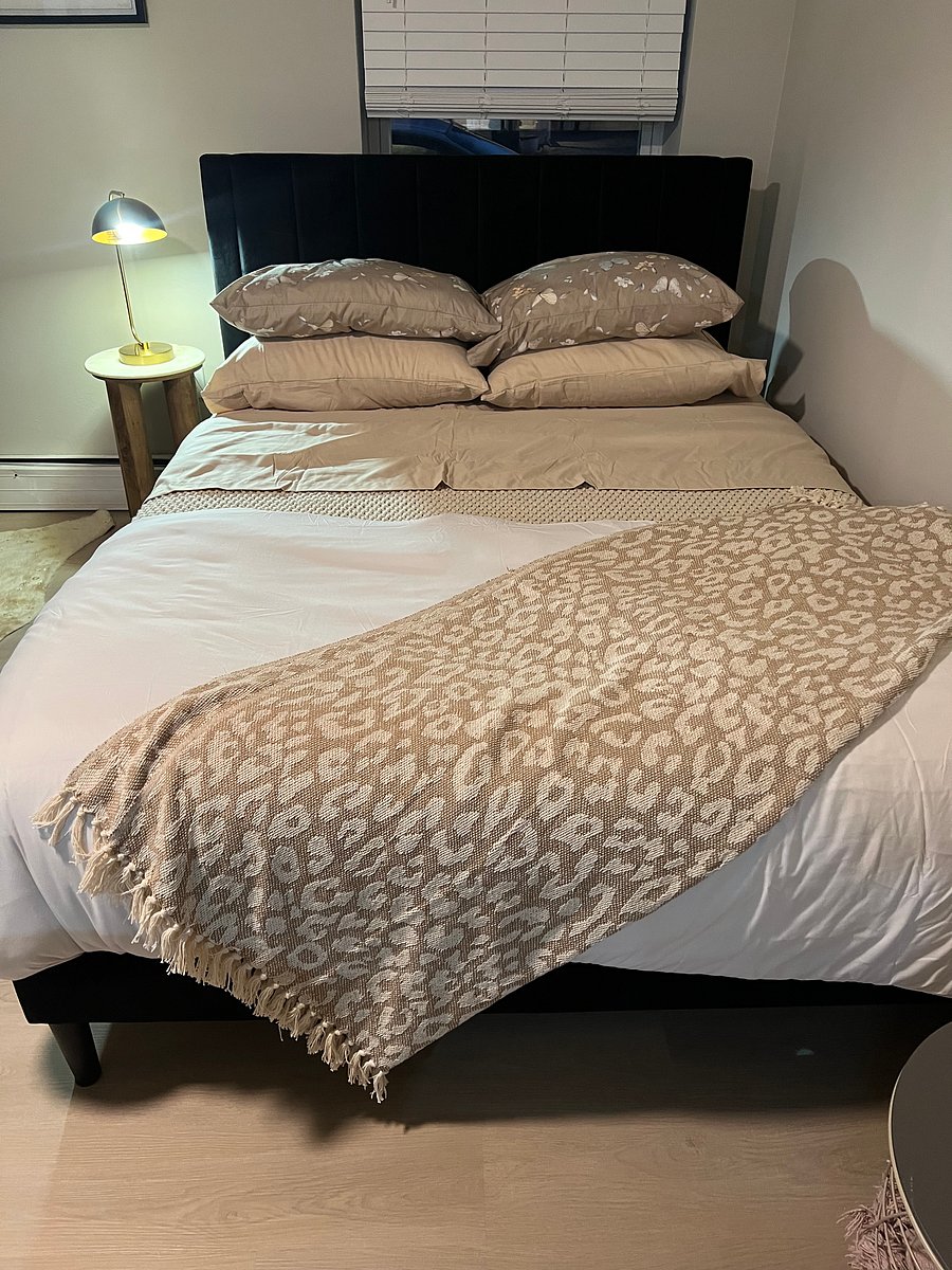 Furnished Finder property 1026204_1 photo 15