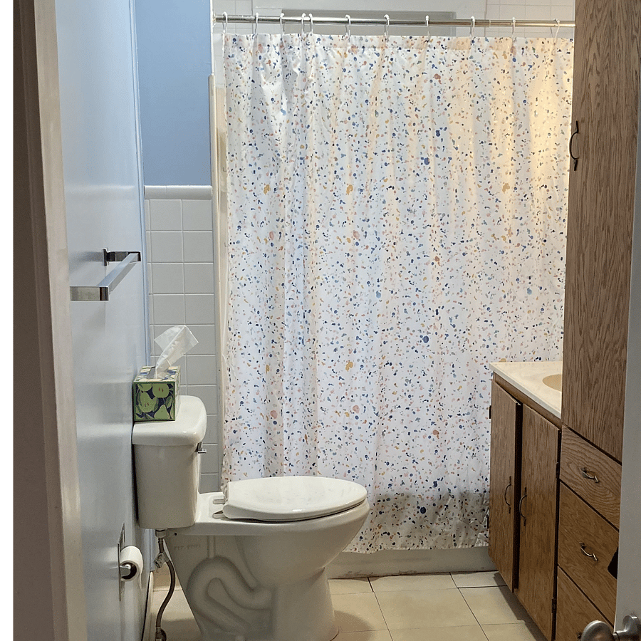 Main bathroom with tub/shower
