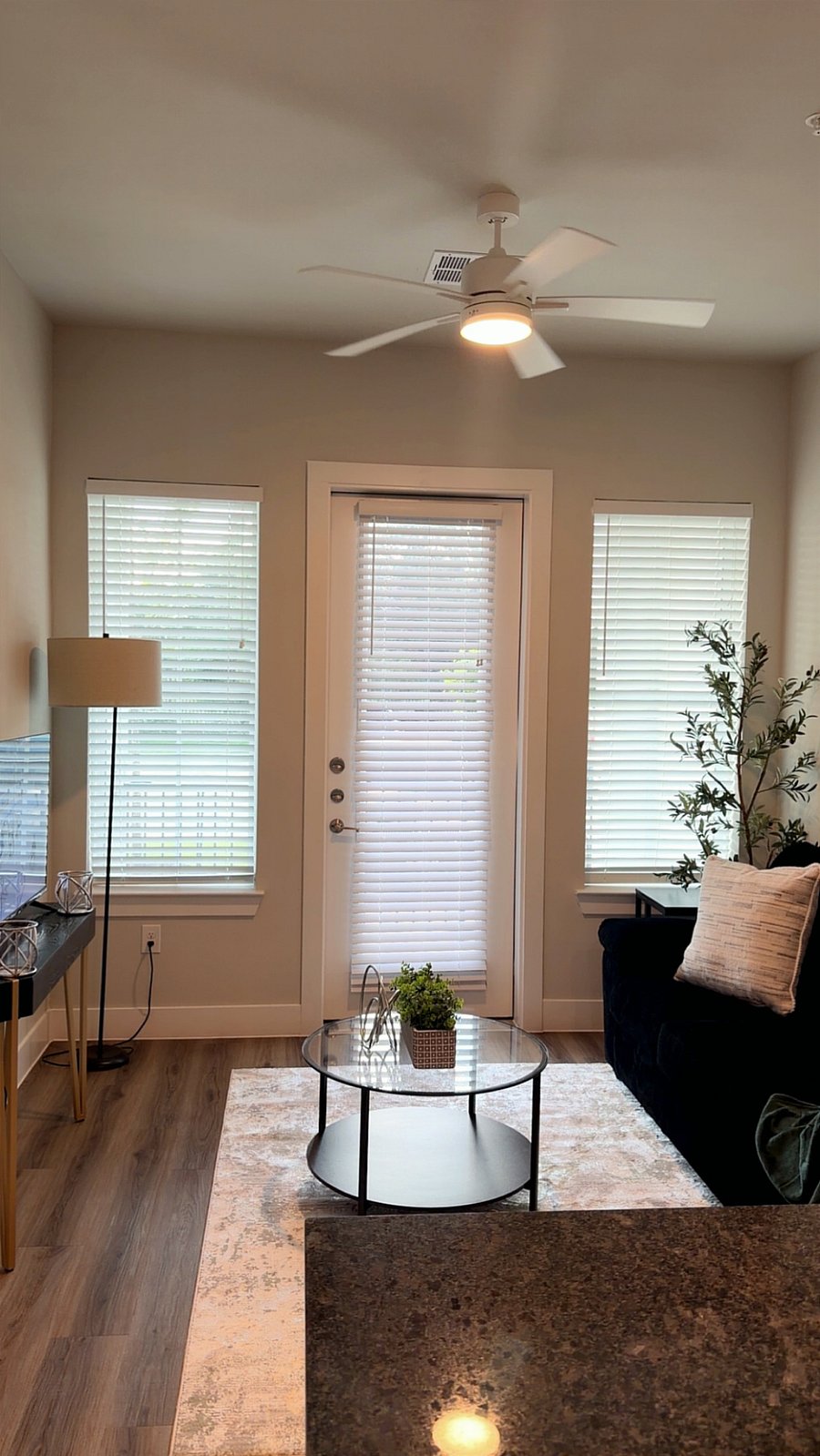 Furnished Finder property 1026357_1 photo 3
