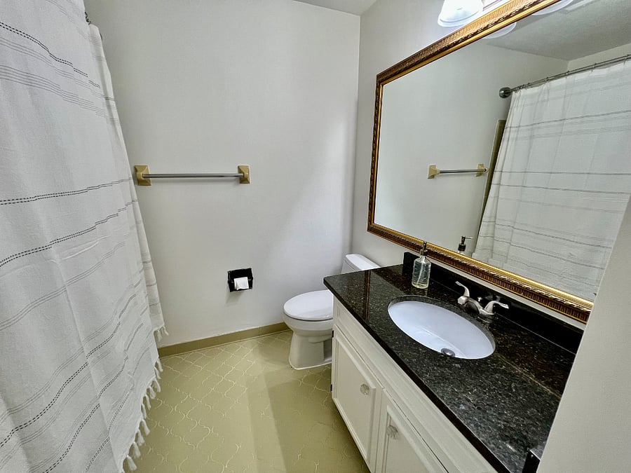 Full Hallway Bathroom