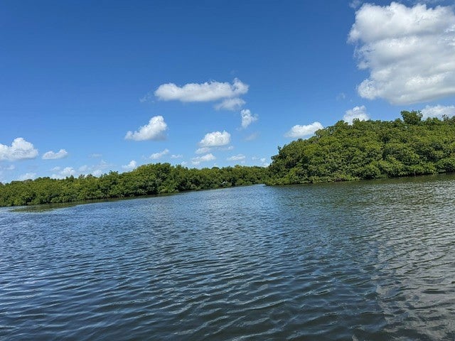 Kayaking while exploring the mangroves