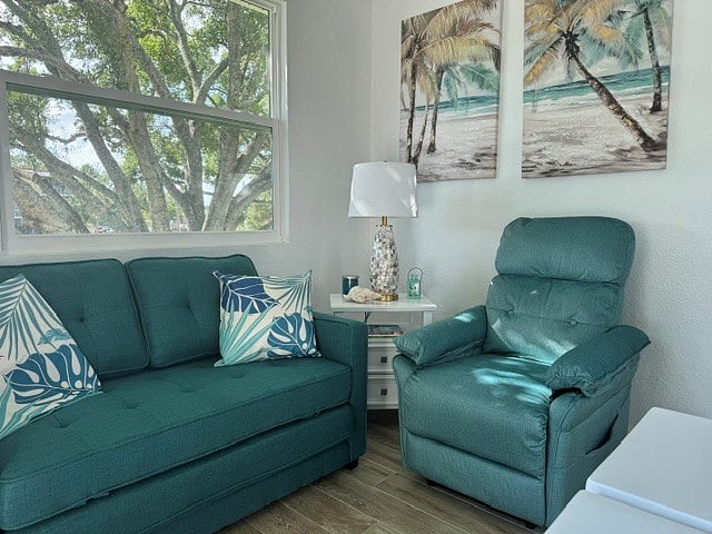 Comfy living room