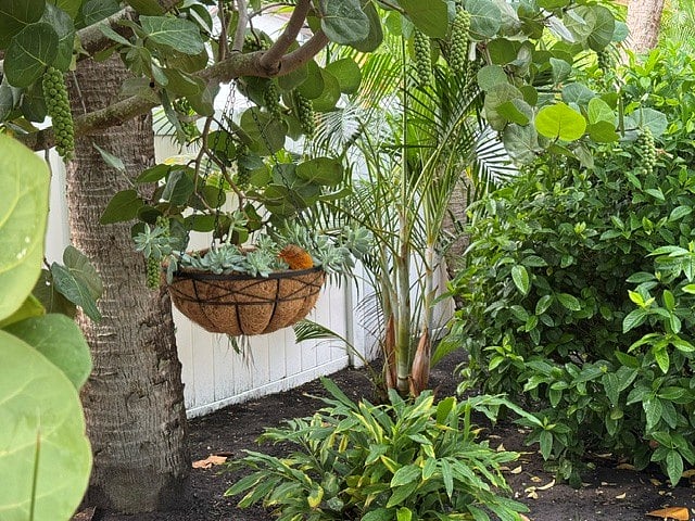Path to guest house with nature along the way