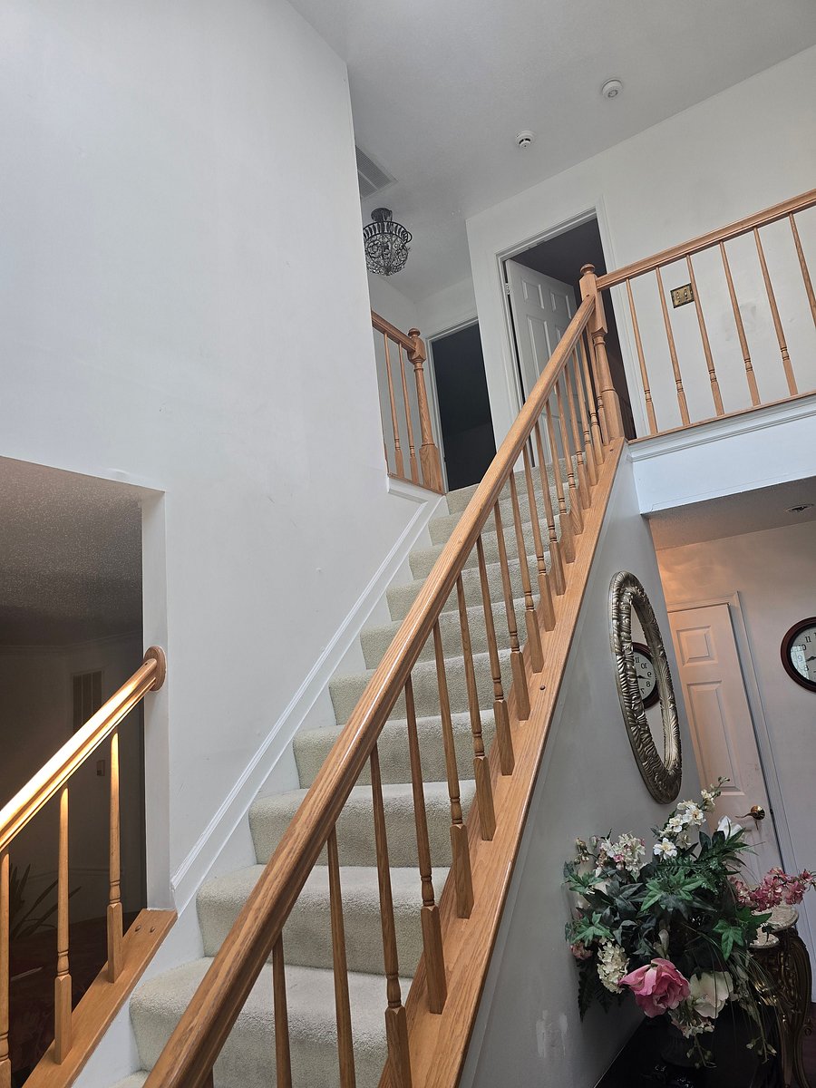 Furnished Finder property 1026563_1 photo 13