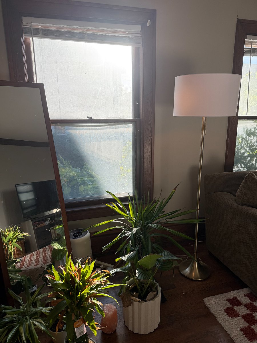 Furnished Finder property 1026590_1 photo 4
