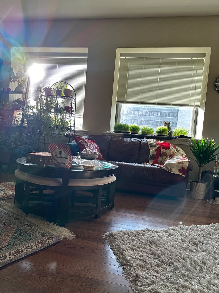 Furnished Finder property 1026609_1 photo 3