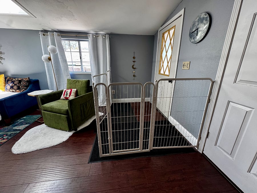Dog Area and access