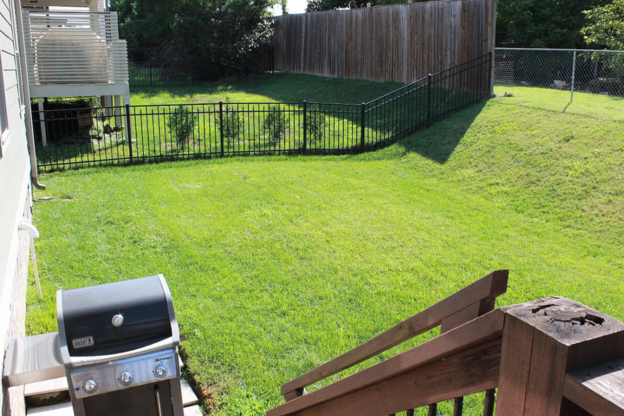 This yard is bigger than it looks. Very nice for a couple of small dogs.