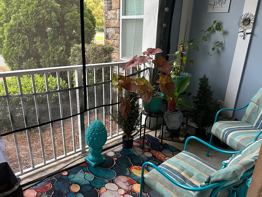 Furnished Finder property 1026701_1 photo 14