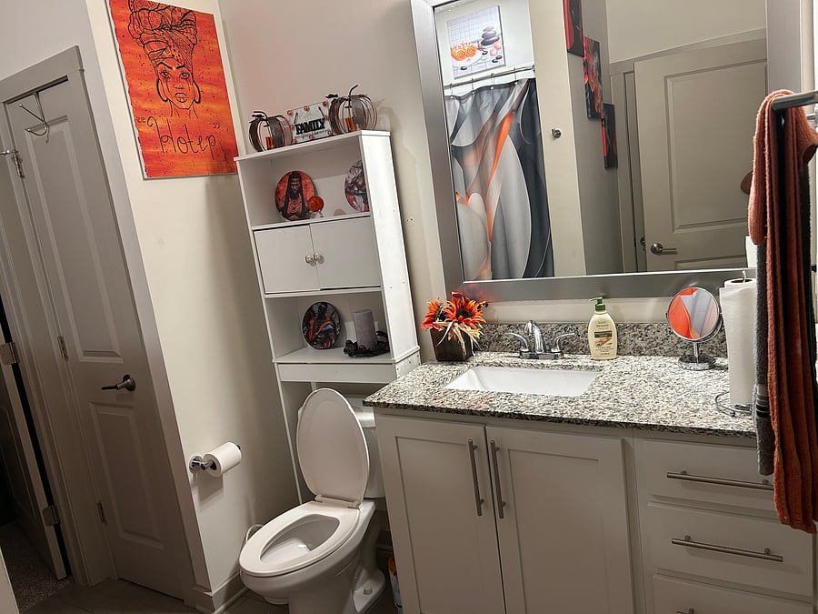 Furnished Finder property 1026701_1 photo 18