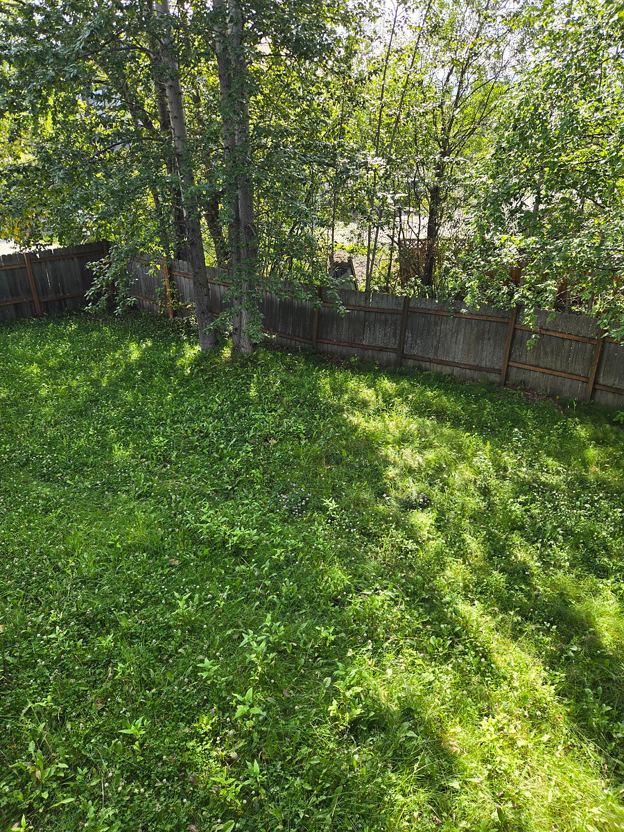 Furnished Finder property 1026767_1 photo 11