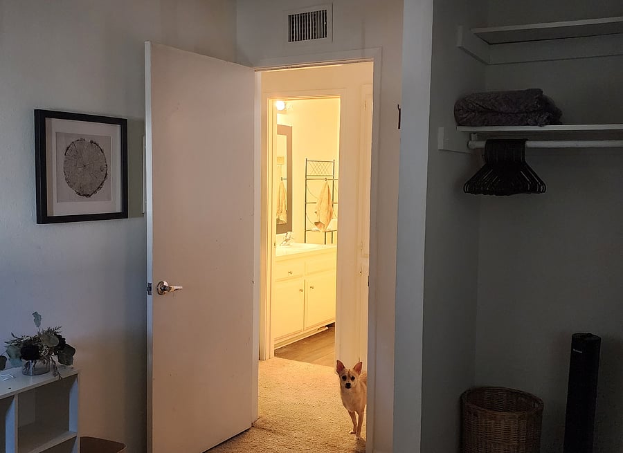 Furnished Finder property 1026782_1 photo 12