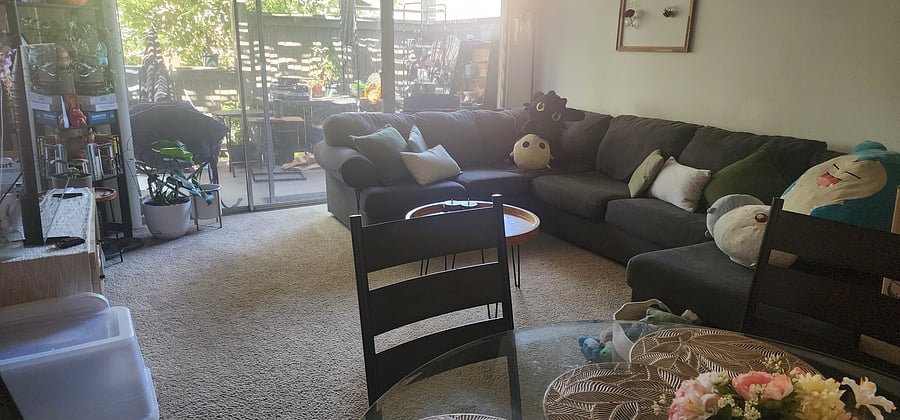 Shared living area and dining table