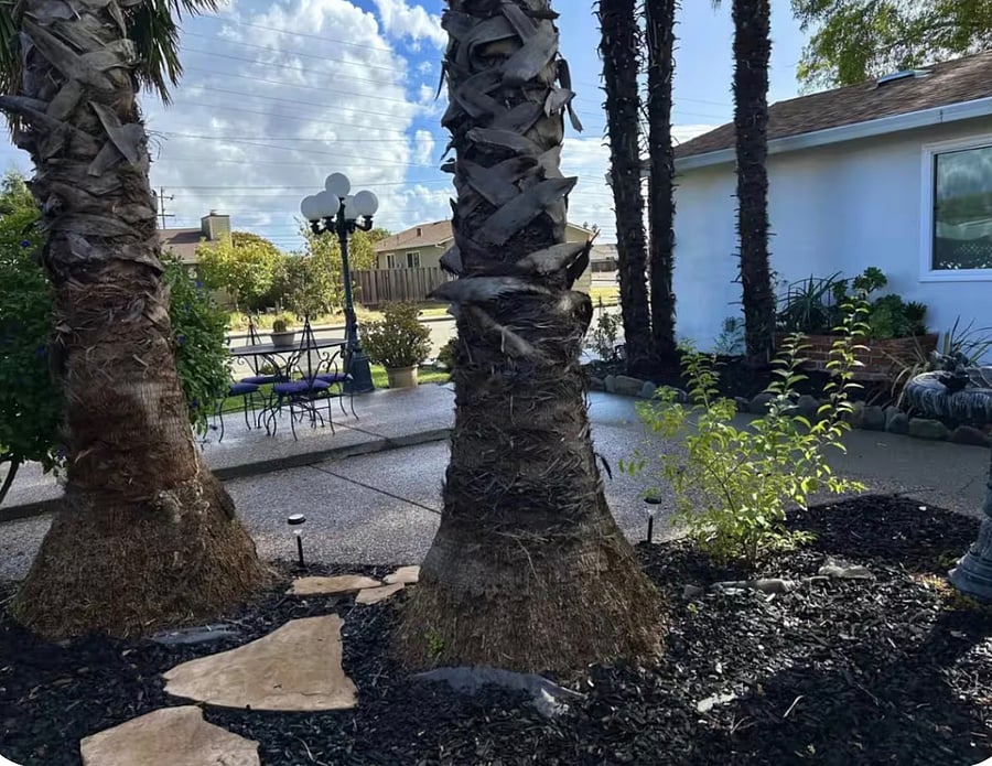 Furnished Finder property 1026812_1 photo 8