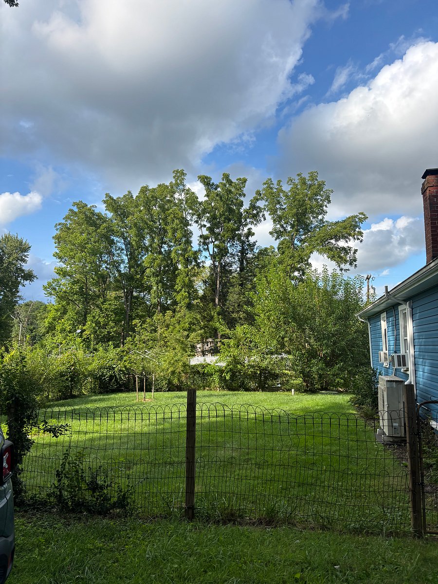 Furnished Finder property 1026826_1 photo 3