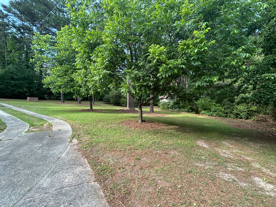 Furnished Finder property 1027010_1 photo 7