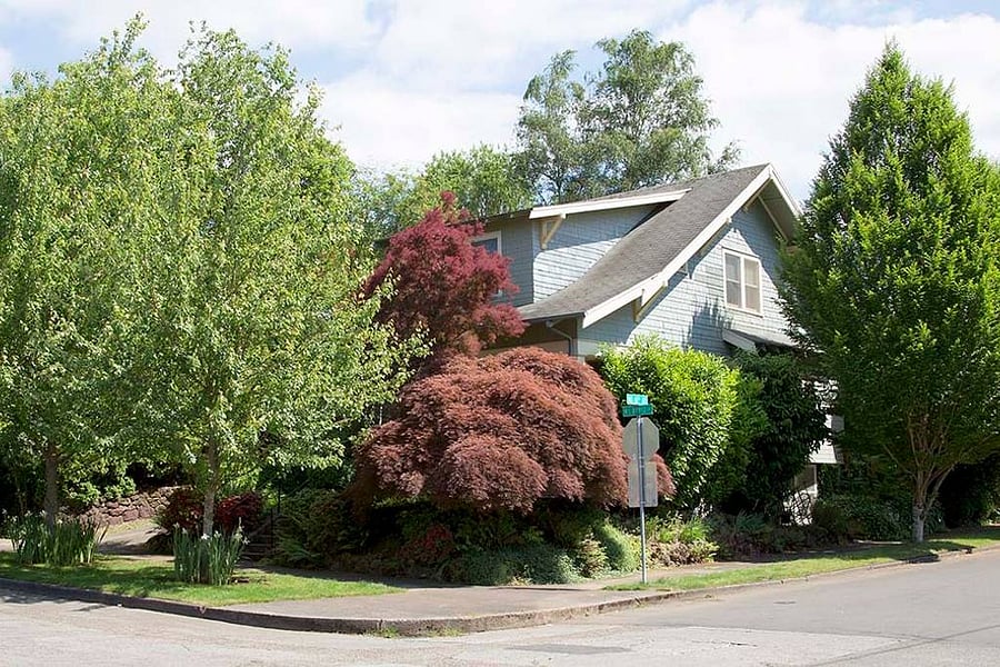 Furnished Finder property 1027023_1 photo 9