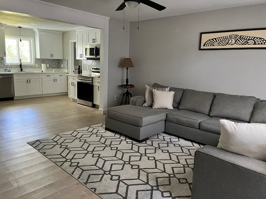 Living room and kitchen