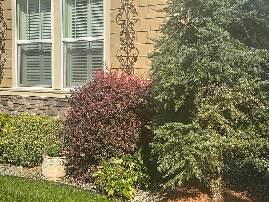 Front of house at your window