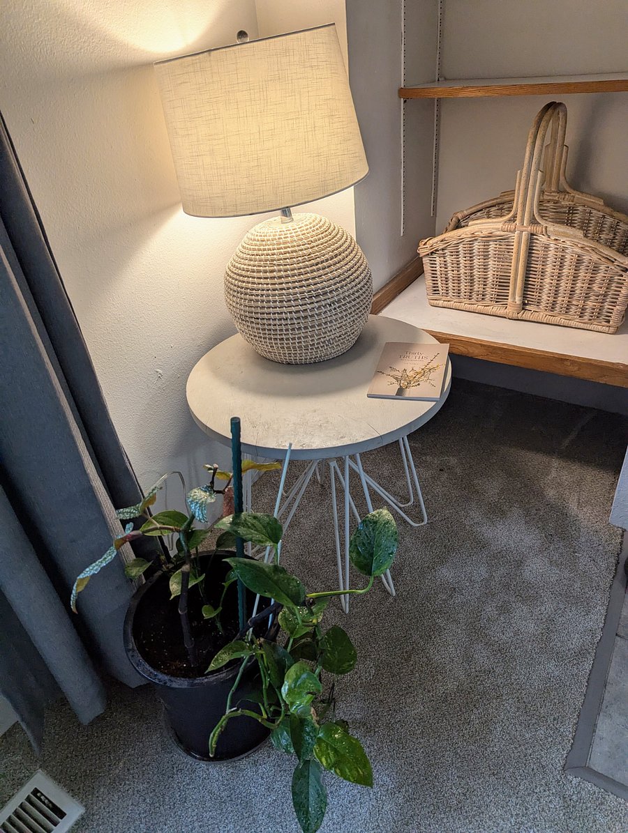 Furnished Finder property 1027083_1 photo 8