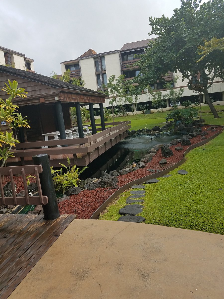 Furnished Finder property 1027125_1 photo 13