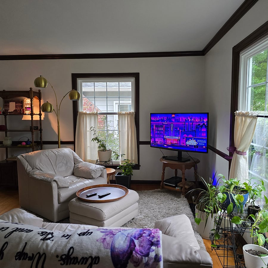 Living room with leather love seat and chair. Roku tv.