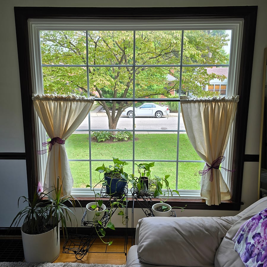 This is the beautiful picture window with linen curtains. Enjoy the plants!