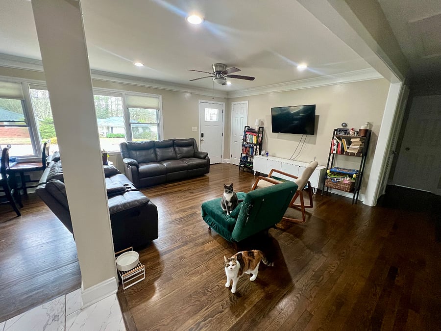 although there are cats in this photo, there will be no animals at the house while you are here. Smart TV, leather couches and books for you to enjoy