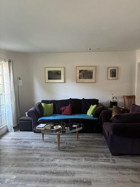 Furnished Finder property 1027550_1 photo 4