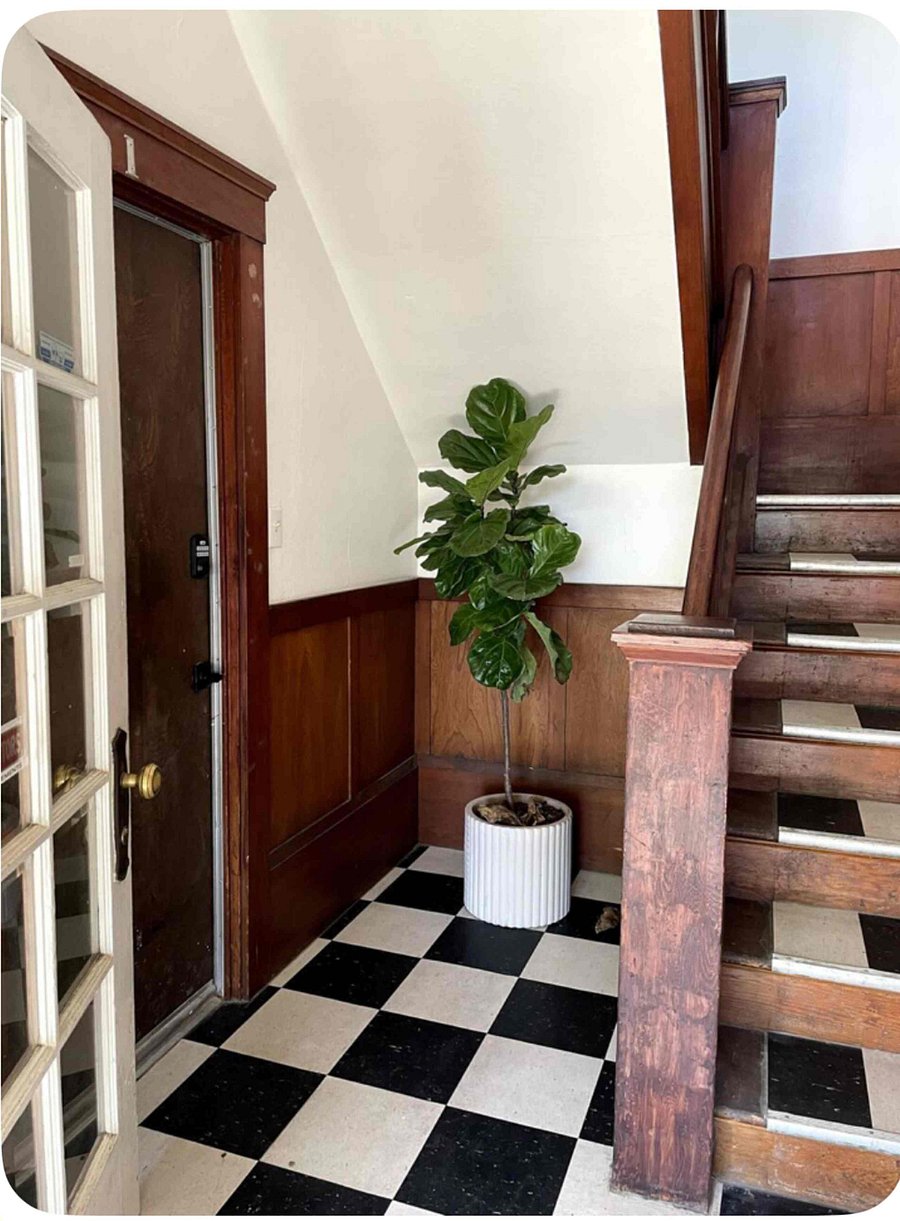 Furnished Finder property 1027585_1 photo 14