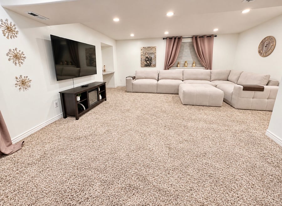 Downstairs living room: Shared living area