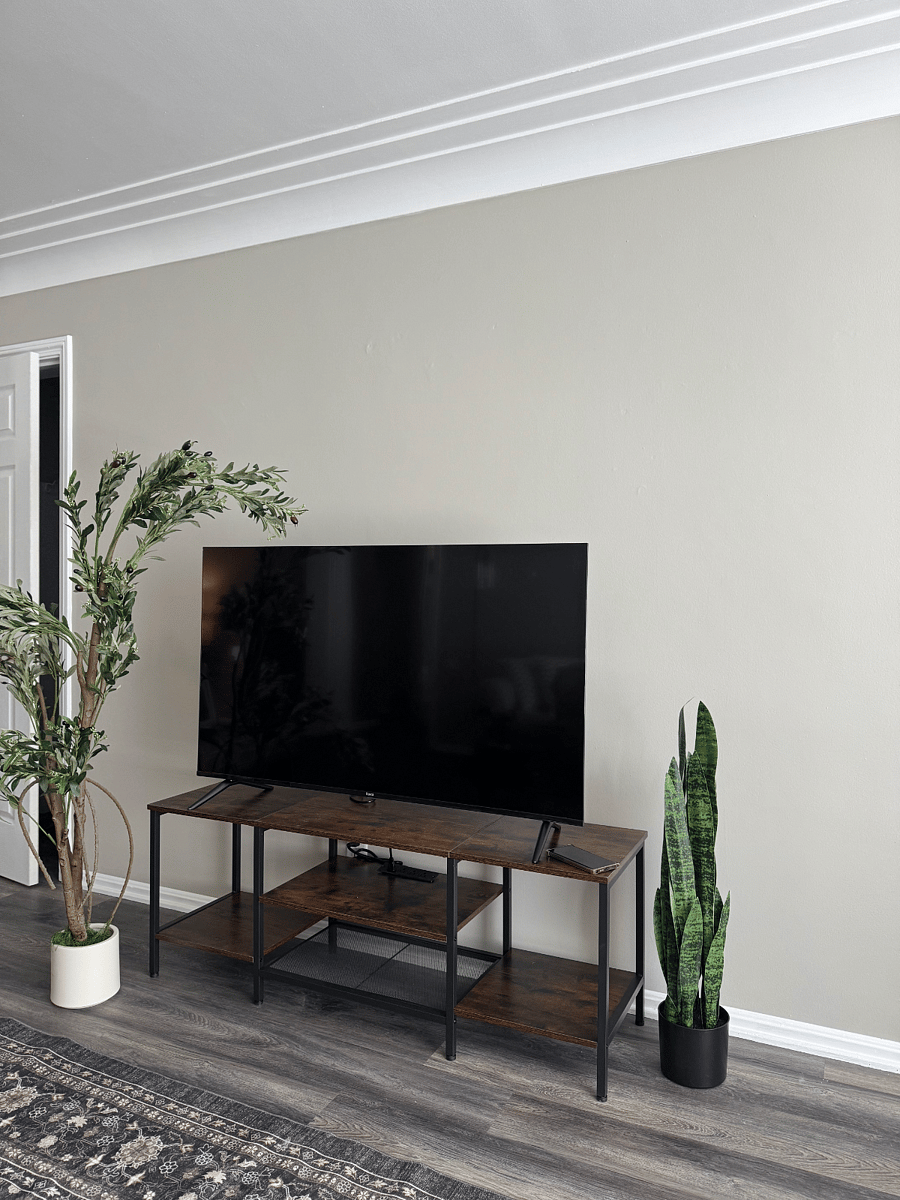 Smart TV and interior decor