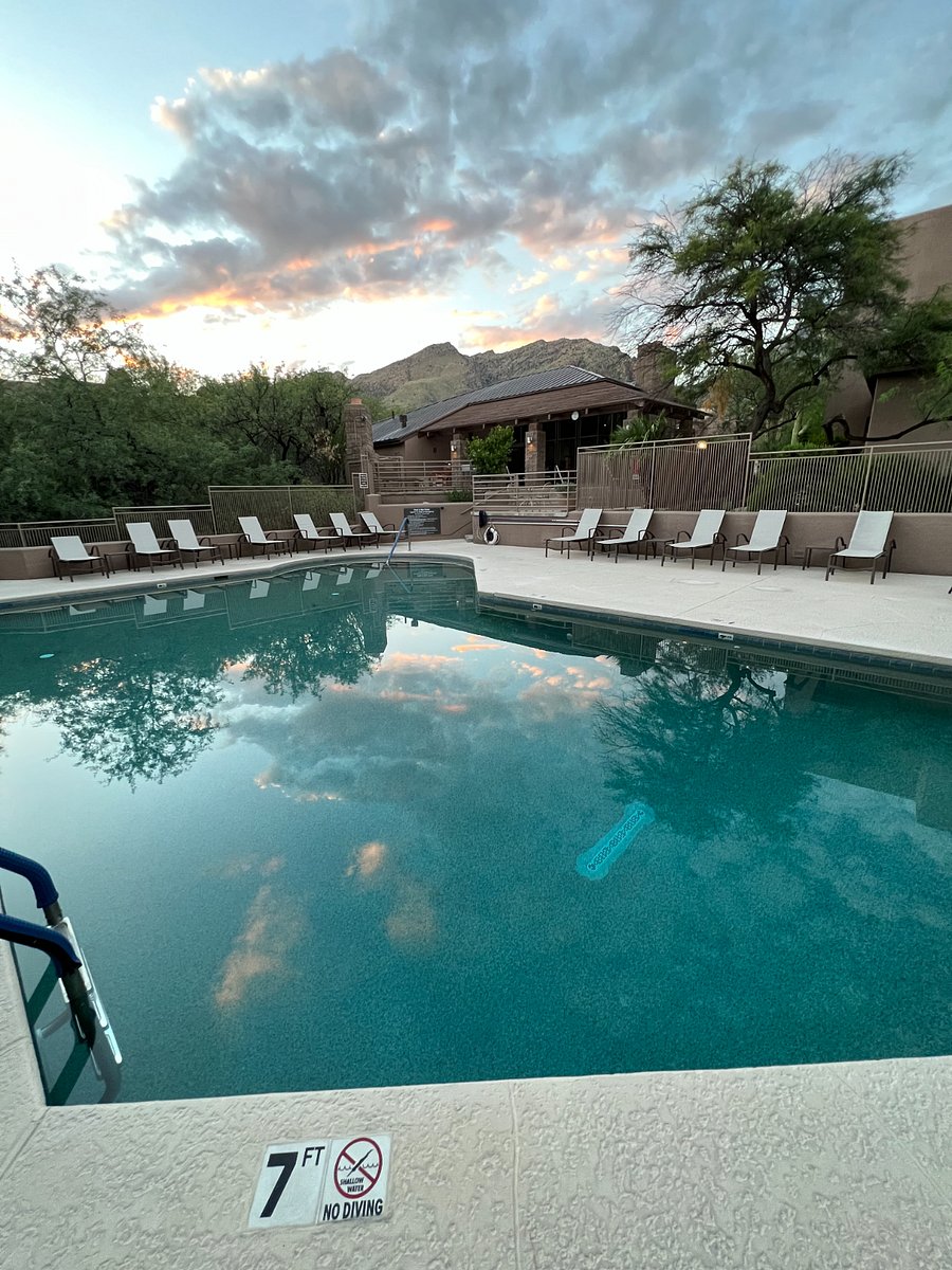 Furnished Finder property 1027690_1 photo 19