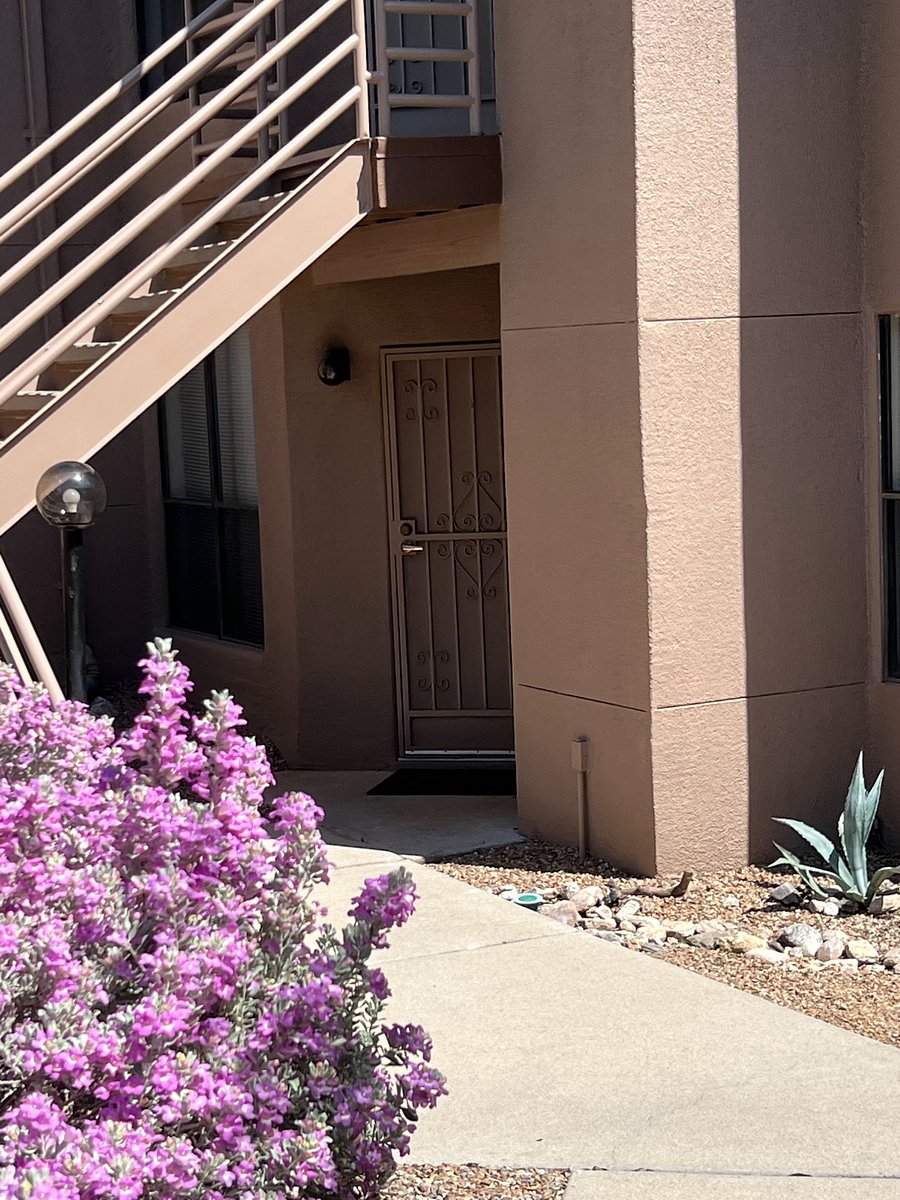 Furnished Finder property 1027690_1 photo 14