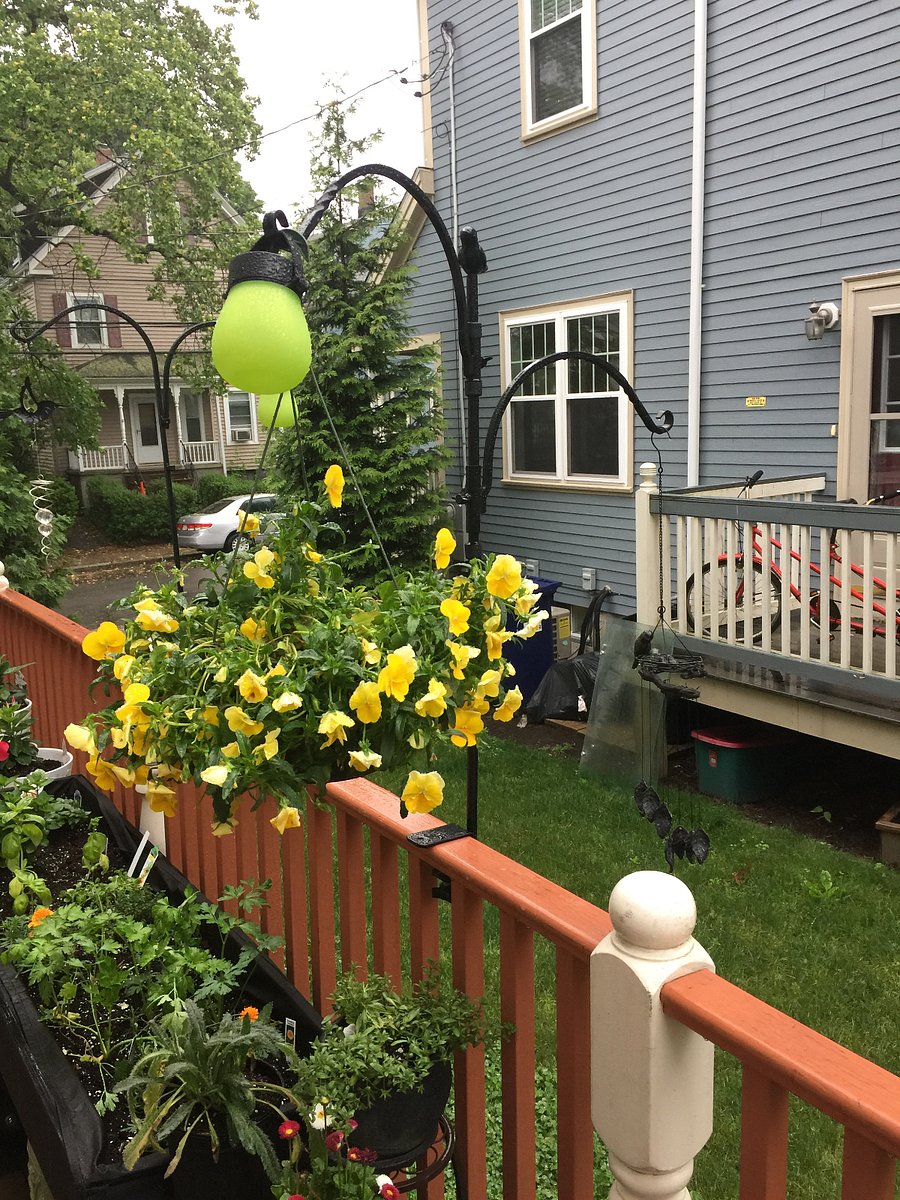 Furnished Finder property 1027722_1 photo 7