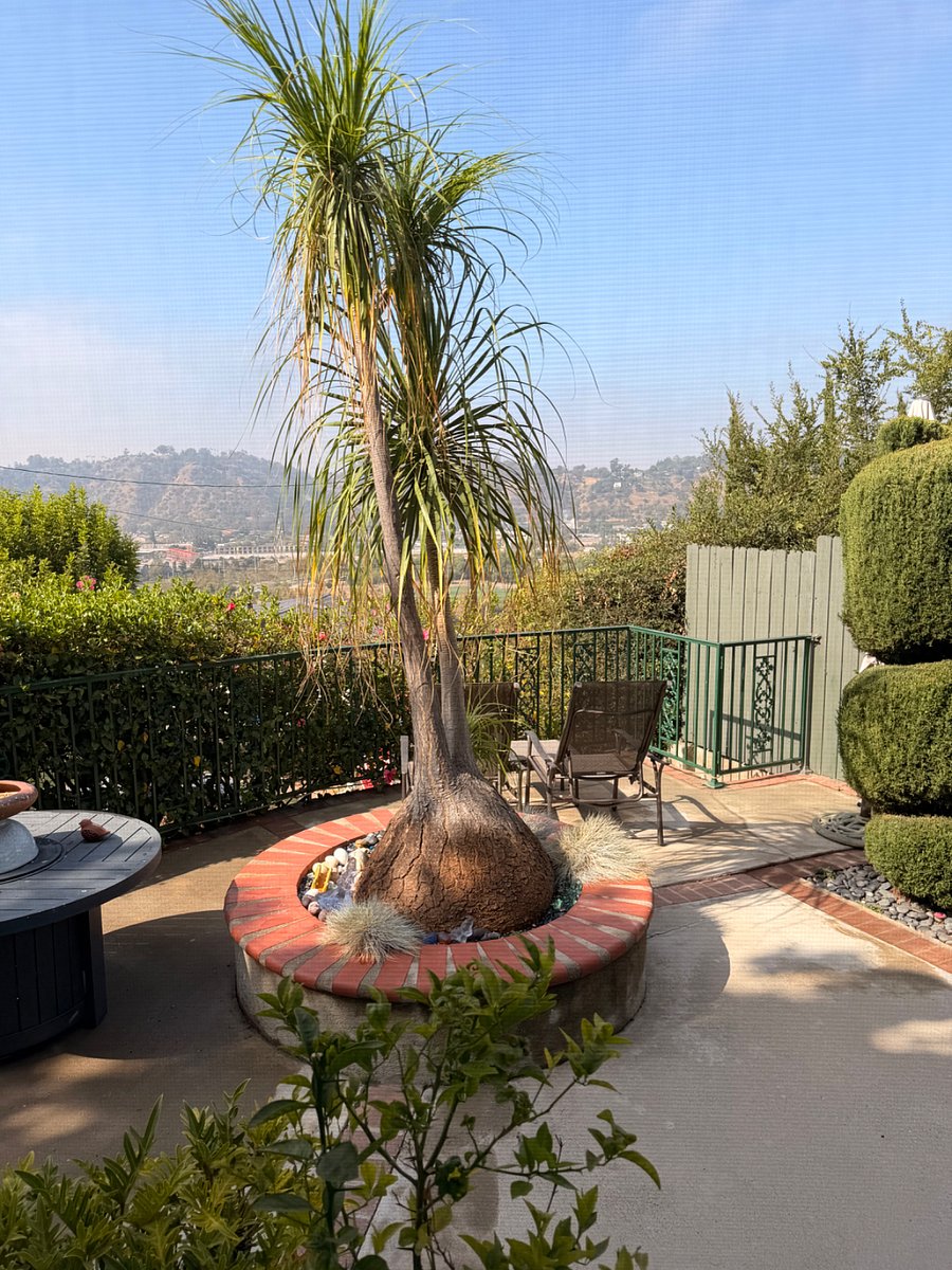 Furnished Finder property 1027753_1 photo 5