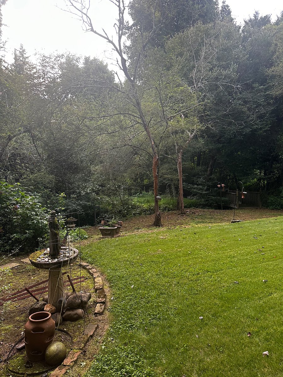 Furnished Finder property 1027770_1 photo 10