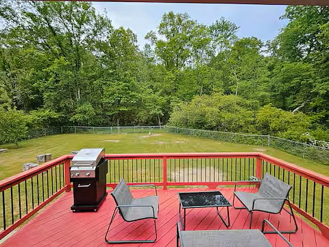 backyard and wooded area behind