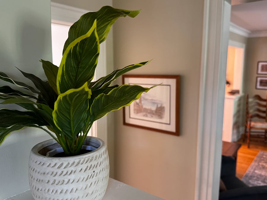 Furnished Finder property 1027845_1 photo 26