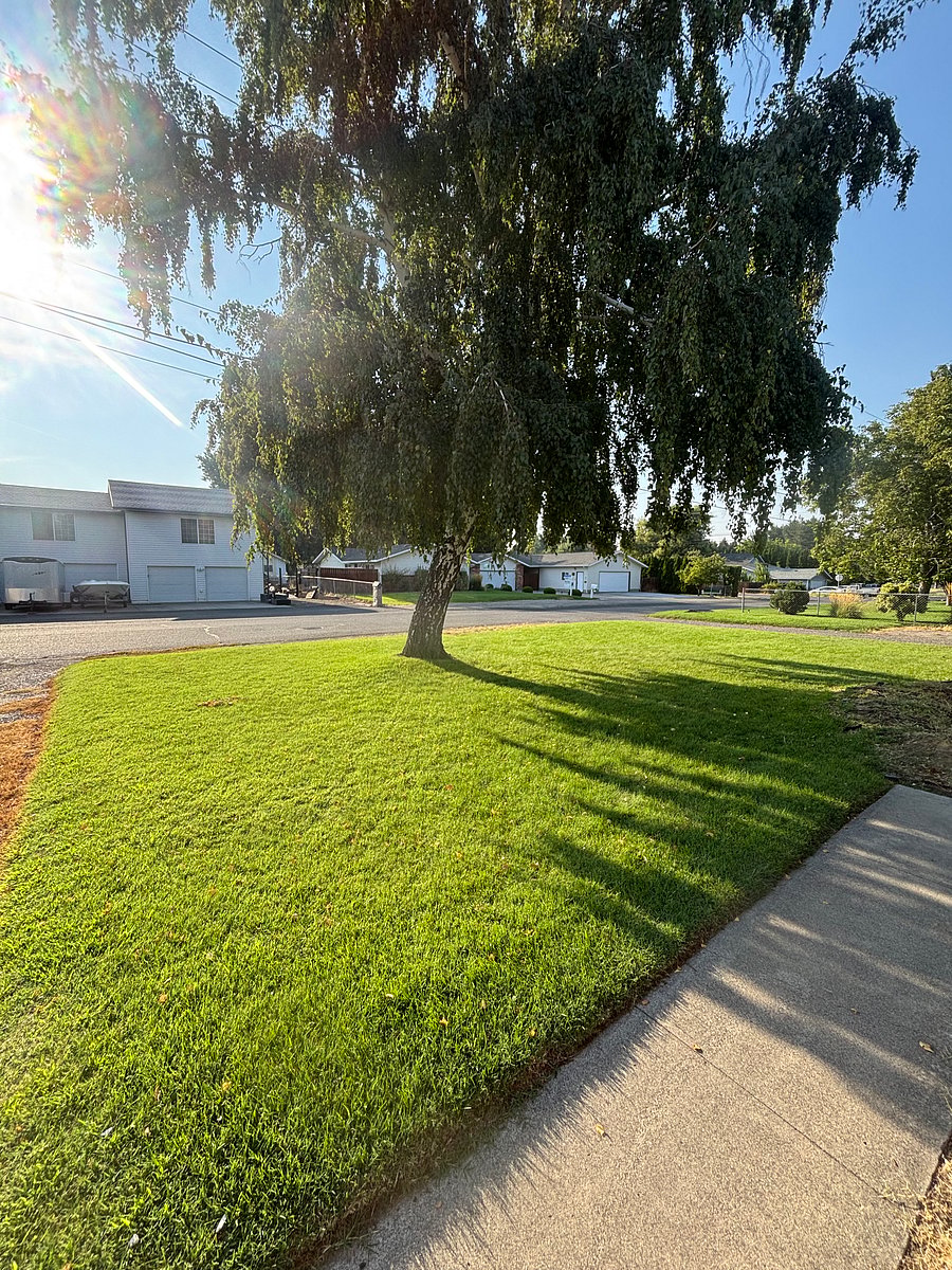 Furnished Finder property 1027898_1 photo 13