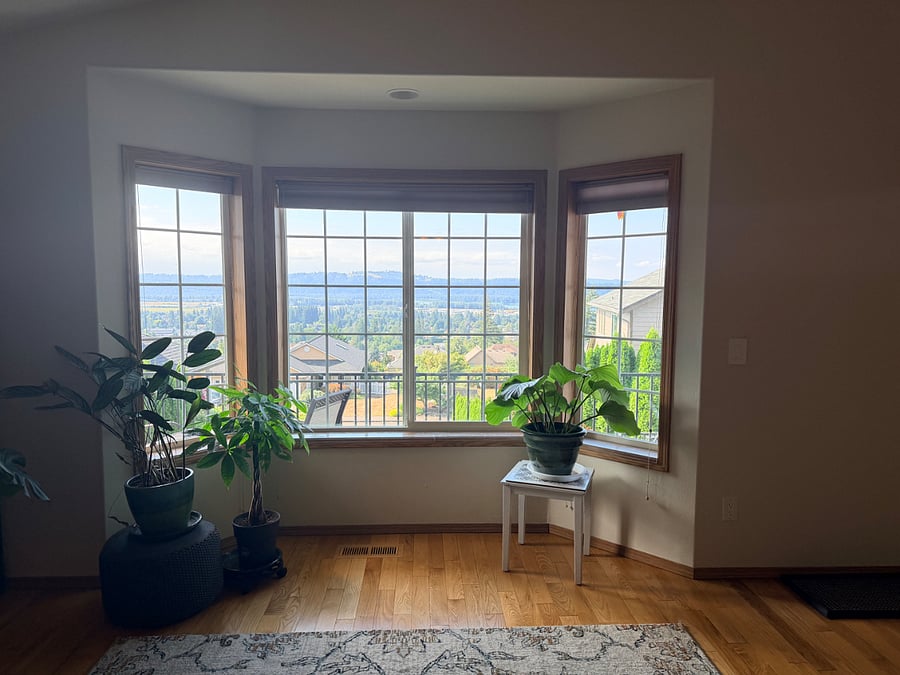 Furnished Finder property 1027915_1 photo 3