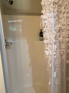 downstairs bath with shower