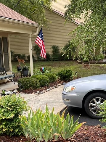 Furnished Finder property 1027956_1 photo 15
