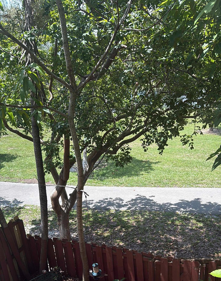 Furnished Finder property 1027975_1 photo 17