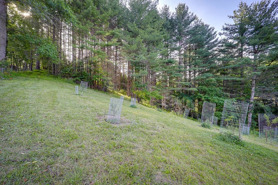 Furnished Finder property 1027988_1 photo 6