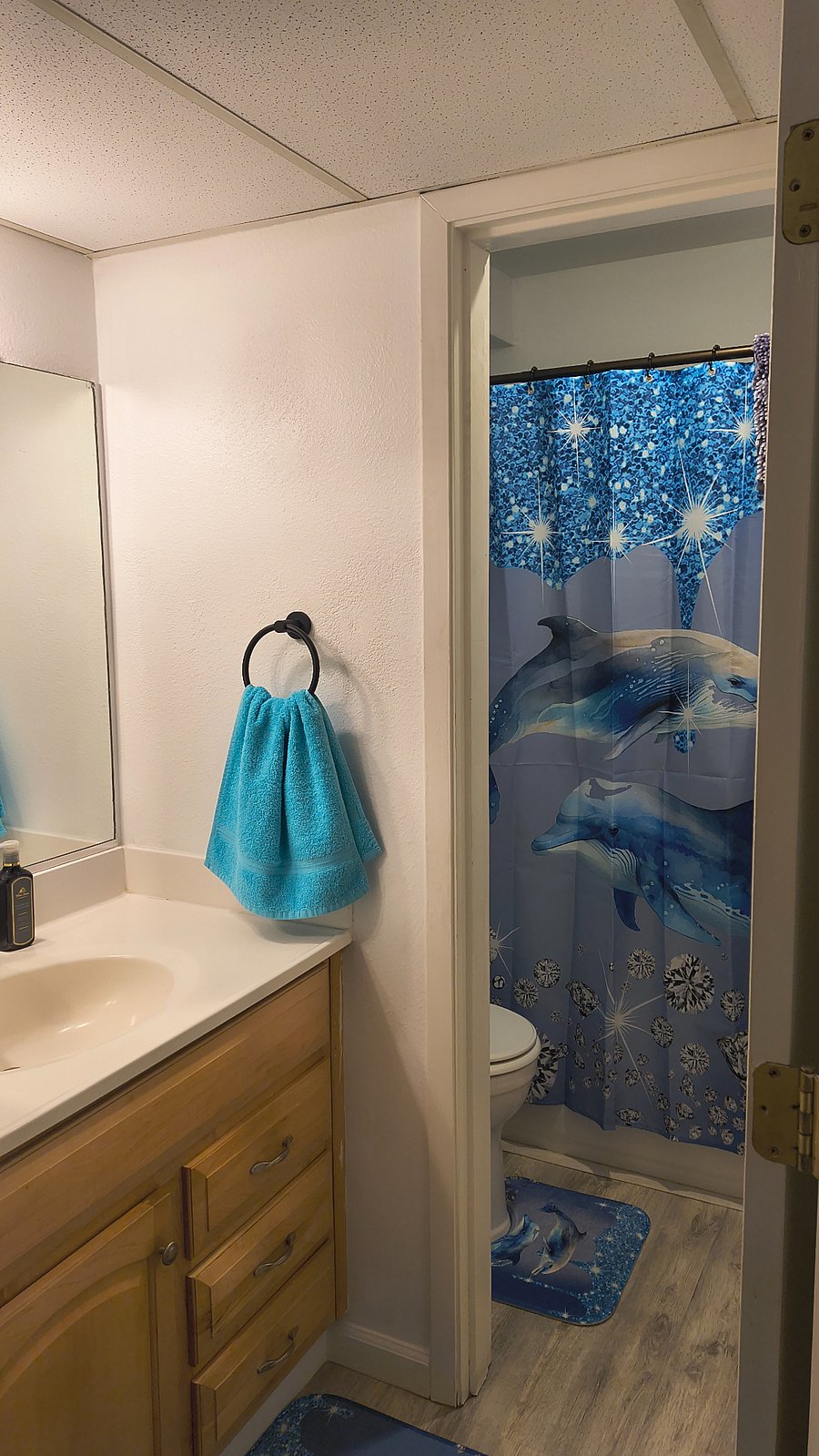 Furnished Finder property 1028012_1 photo 10
