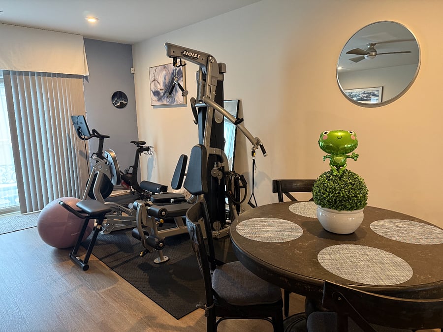 Main level (kitchen, TV, Dining, Gym Equipment). Feel free to use any equipment except the Peloton)