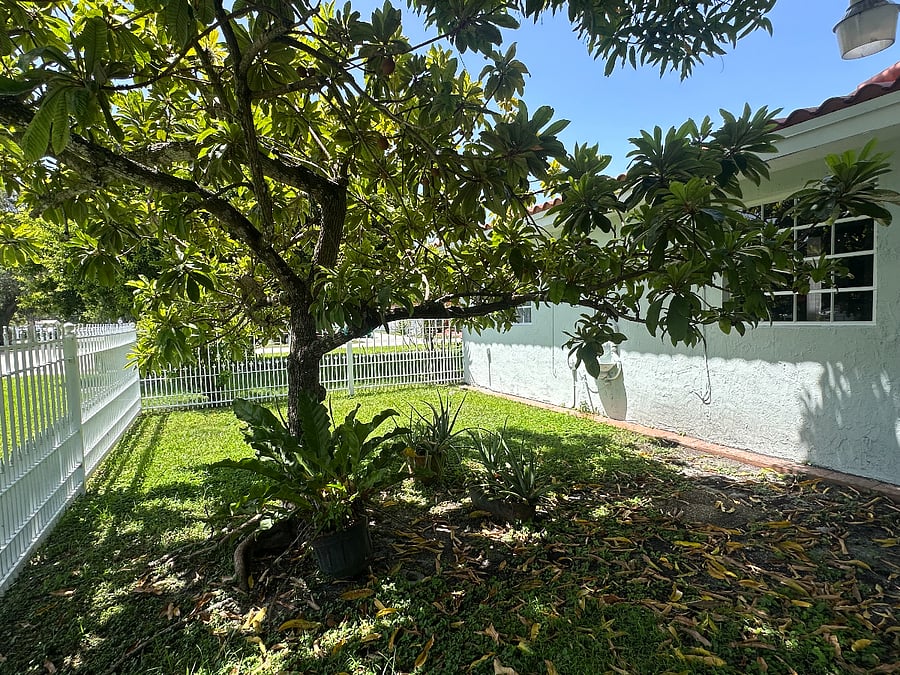 Furnished Finder property 1028265_1 photo 24