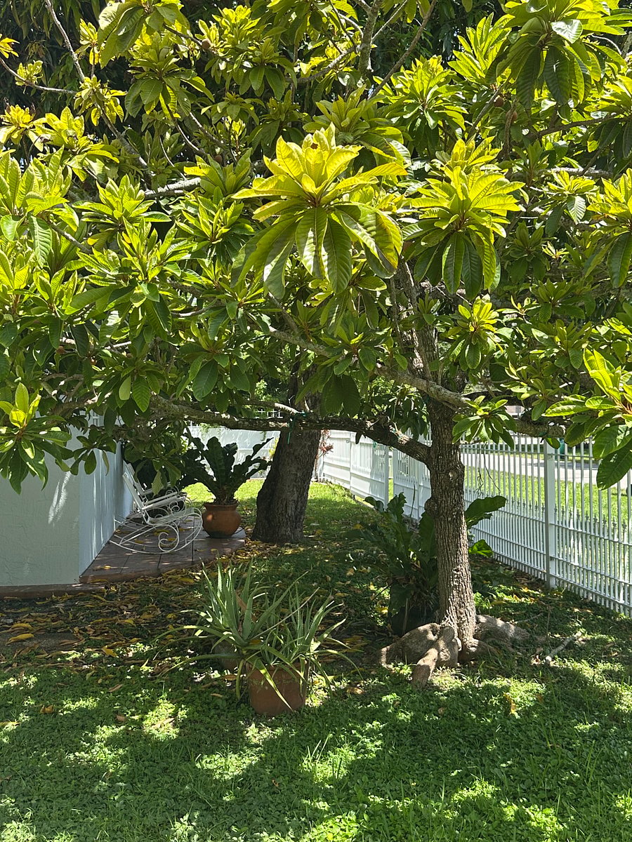 Furnished Finder property 1028265_1 photo 26