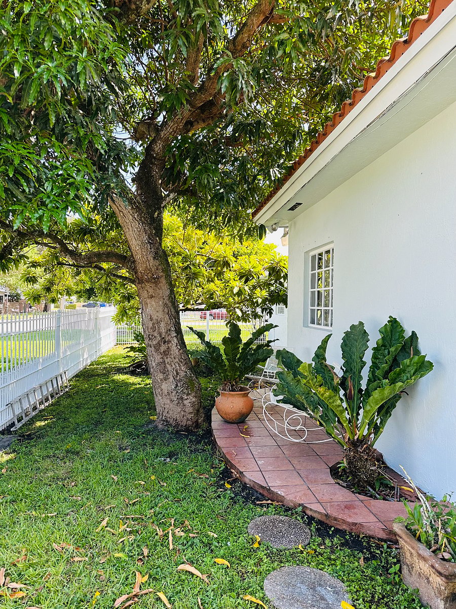 Furnished Finder property 1028265_1 photo 25